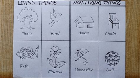 drawing of non living things|53 Non living thing drawing ideas .